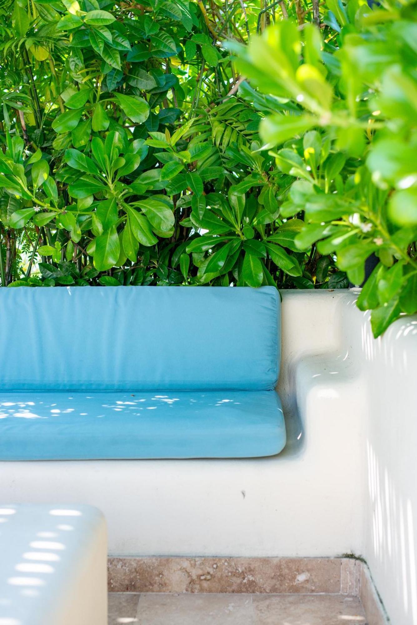 Apartament Luxurious Penthouse With Jungle View & Private Pool Tulum Zewnętrze zdjęcie